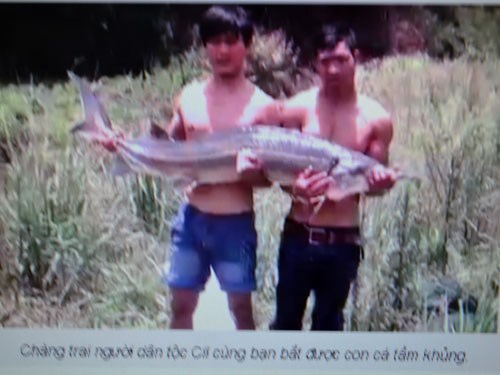 Sự[-]thật[-]về[-]việc[-]bắt[-]được[-]cá[-]tầm[-]"khủng"[-]ở[-]Việt[-]Nam